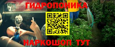дживик Лесосибирск
