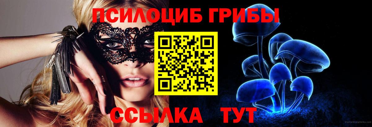 магазин продажи наркотиков  Вход с VPN  Дзержинск  Галлюциногенные грибы Psilocybine cubensis 